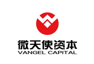 青島微天使商務(wù)信息咨詢管理企業(yè) 專業(yè)引領(lǐng)，助力企業(yè)騰飛